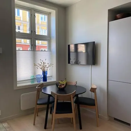 Stilren Leilighet Sentralt I Oslo! Apartment