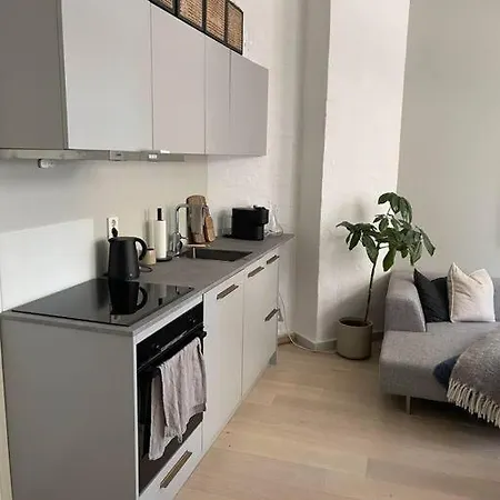 Apartamento Stilren Leilighet Sentralt I Oslo!